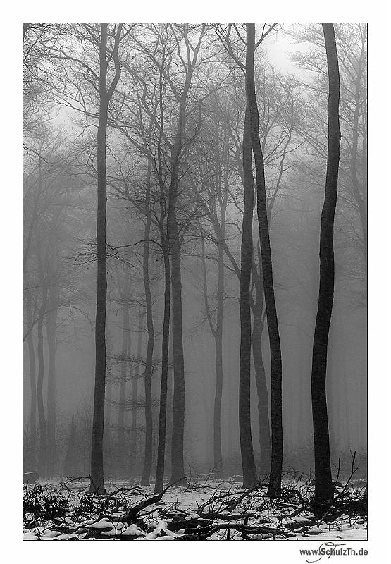 Nebel3.jpg